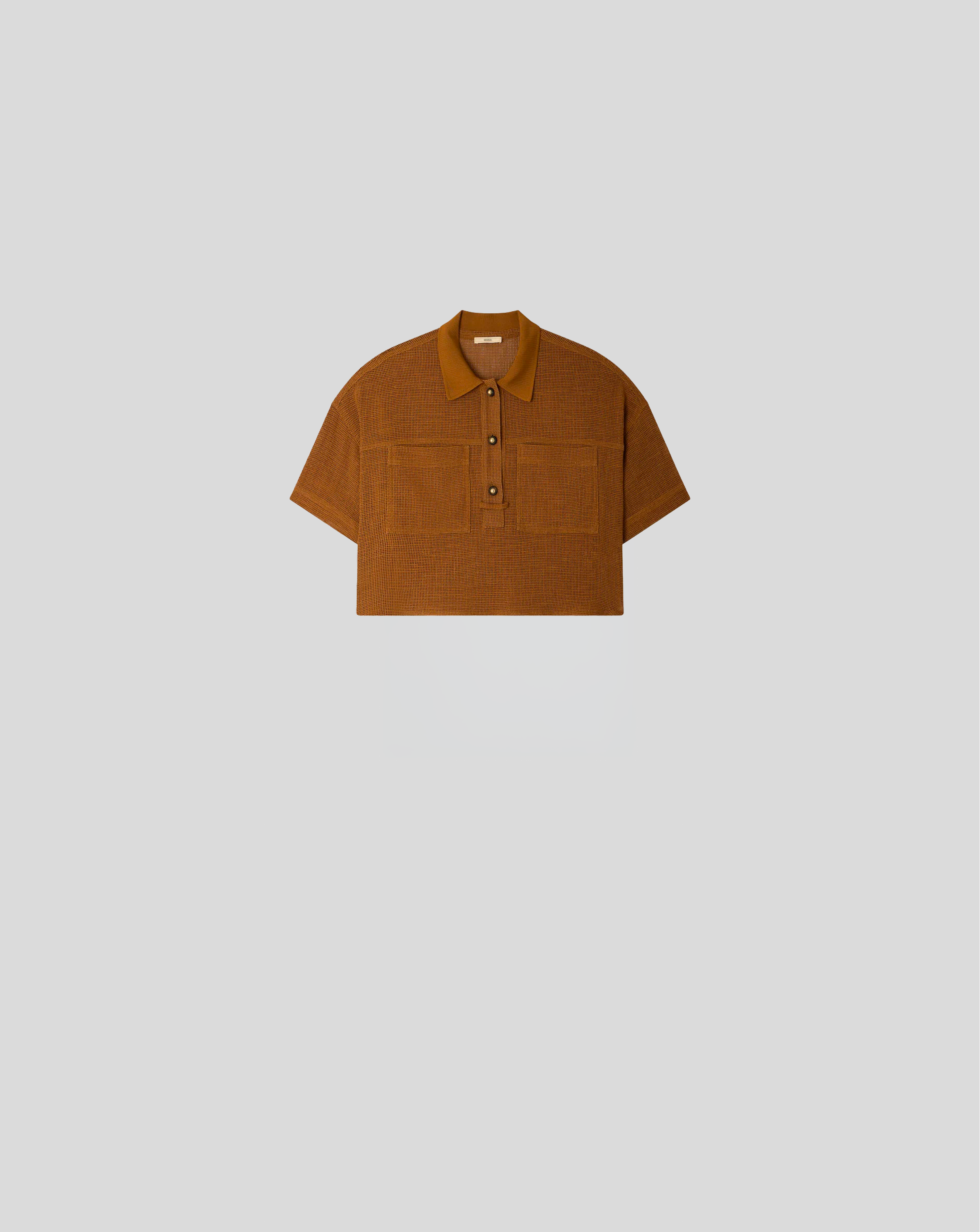 Paulo - Amber Brown