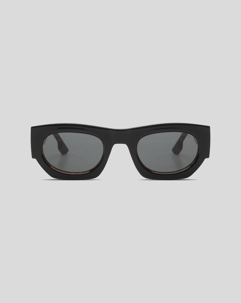 Alpha - Black Tortoise