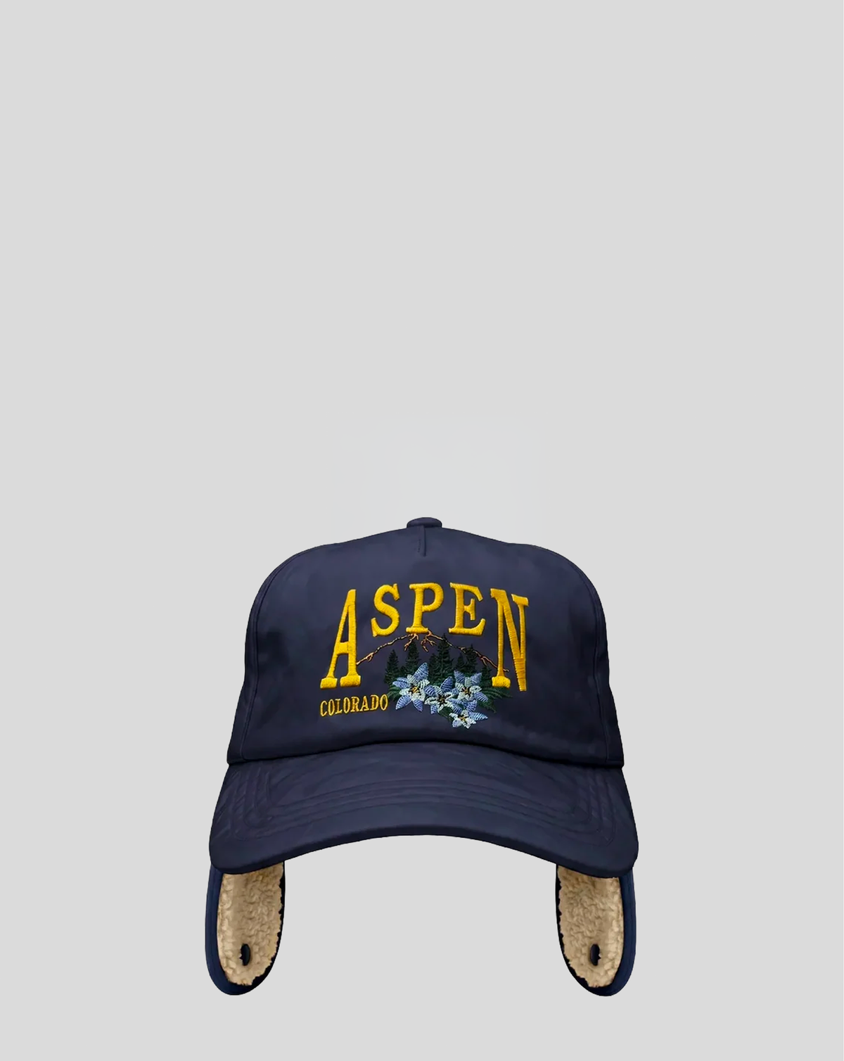 Visit - Aspen