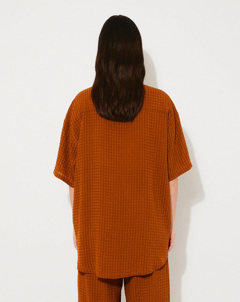 Pedicel - Brown
