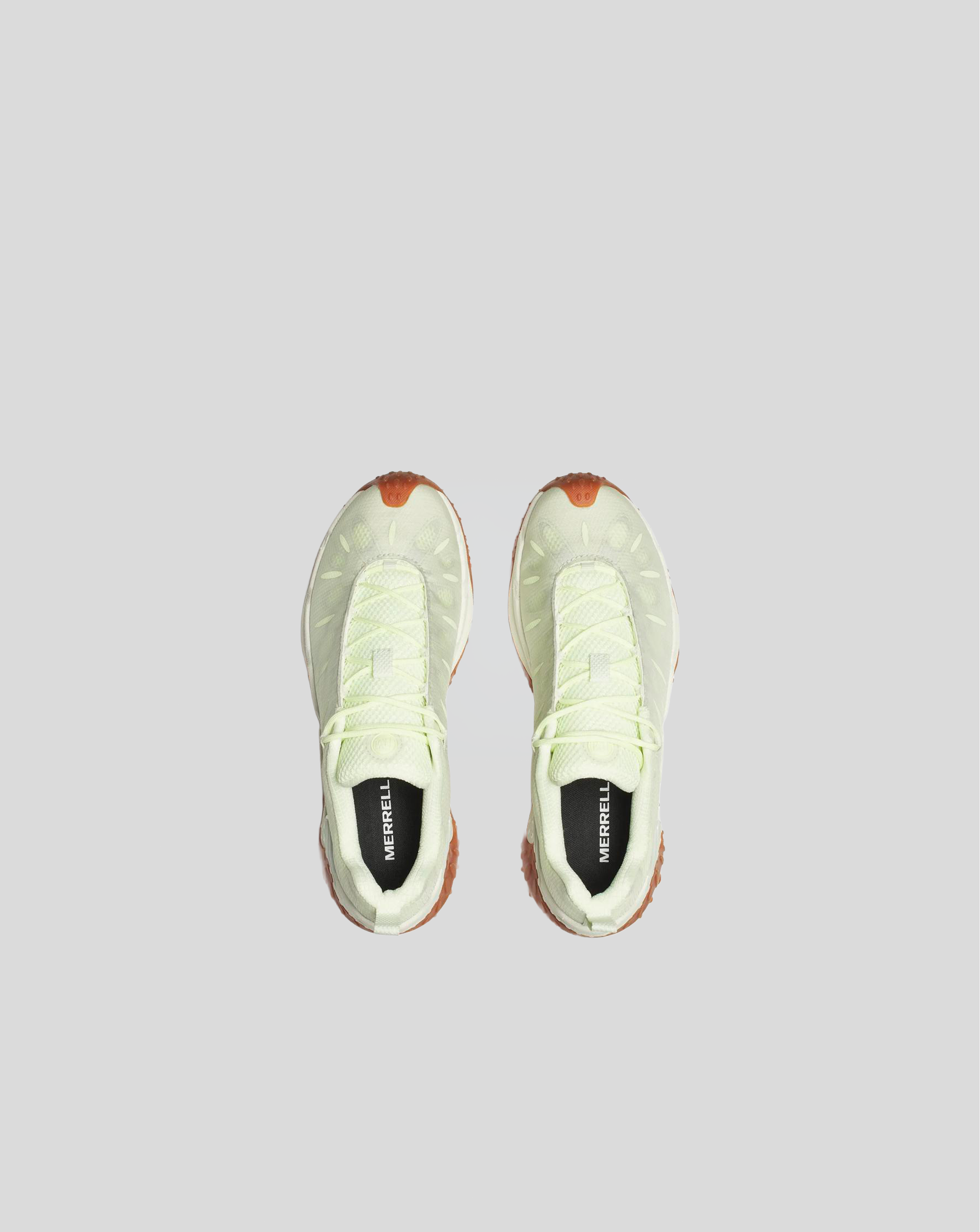 Cham Redux Ghost - Aloe