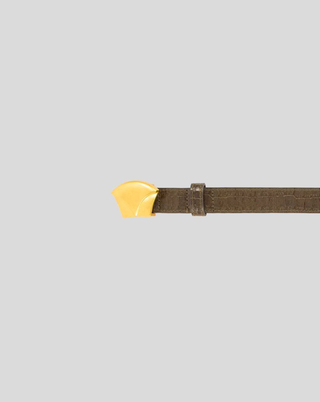 Diviluz belt - Croco lichen