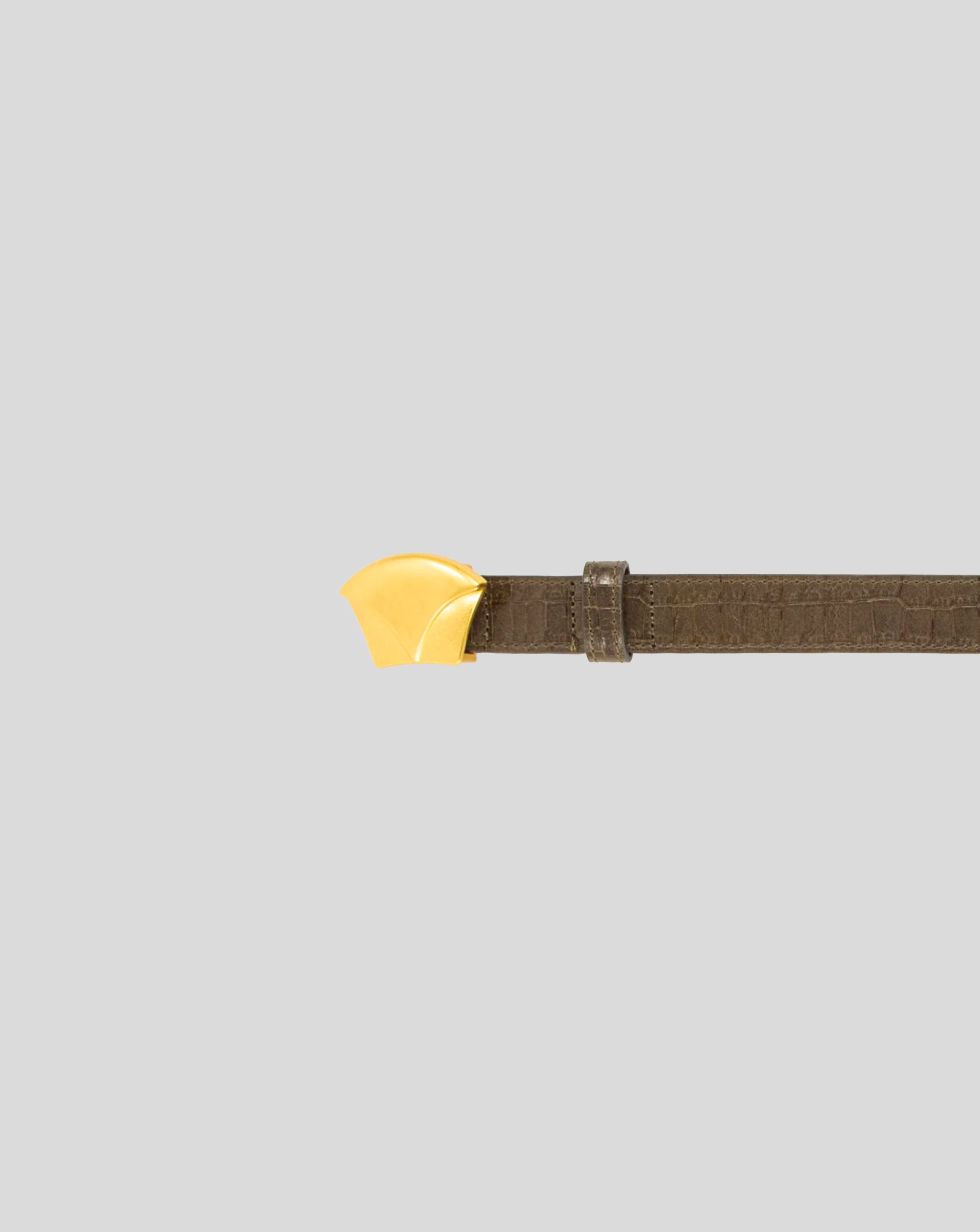 Diviluz belt - Croco lichen