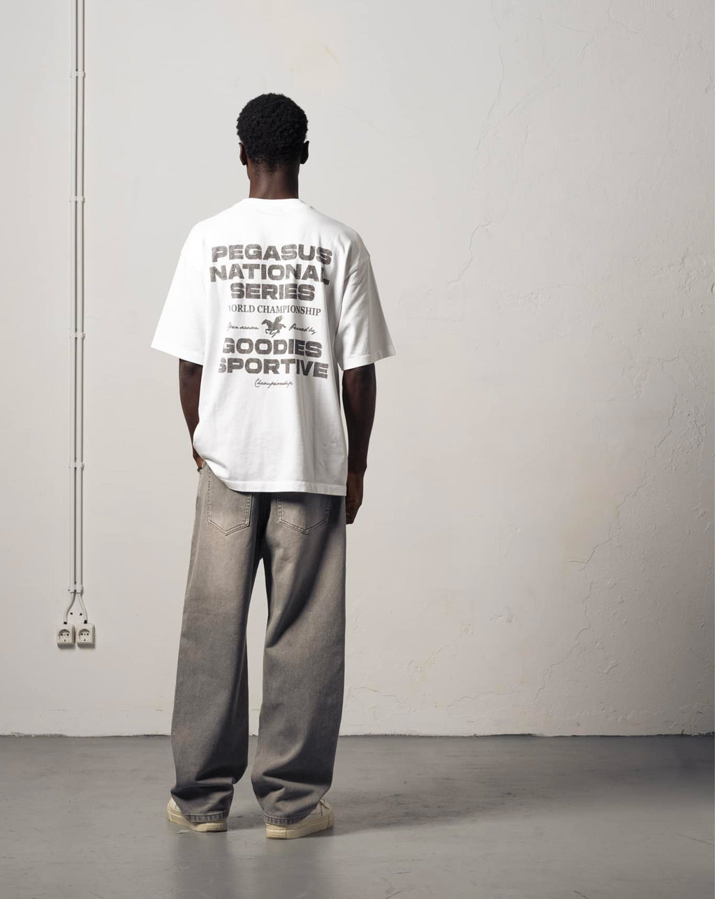 Pegasus Series - White