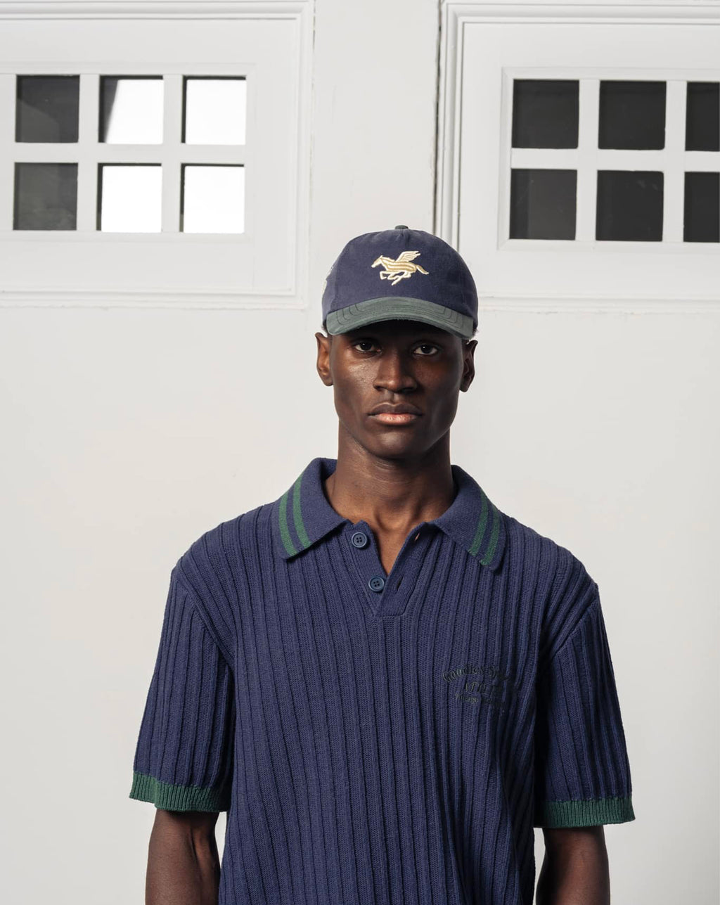 3D peagasus - Washed