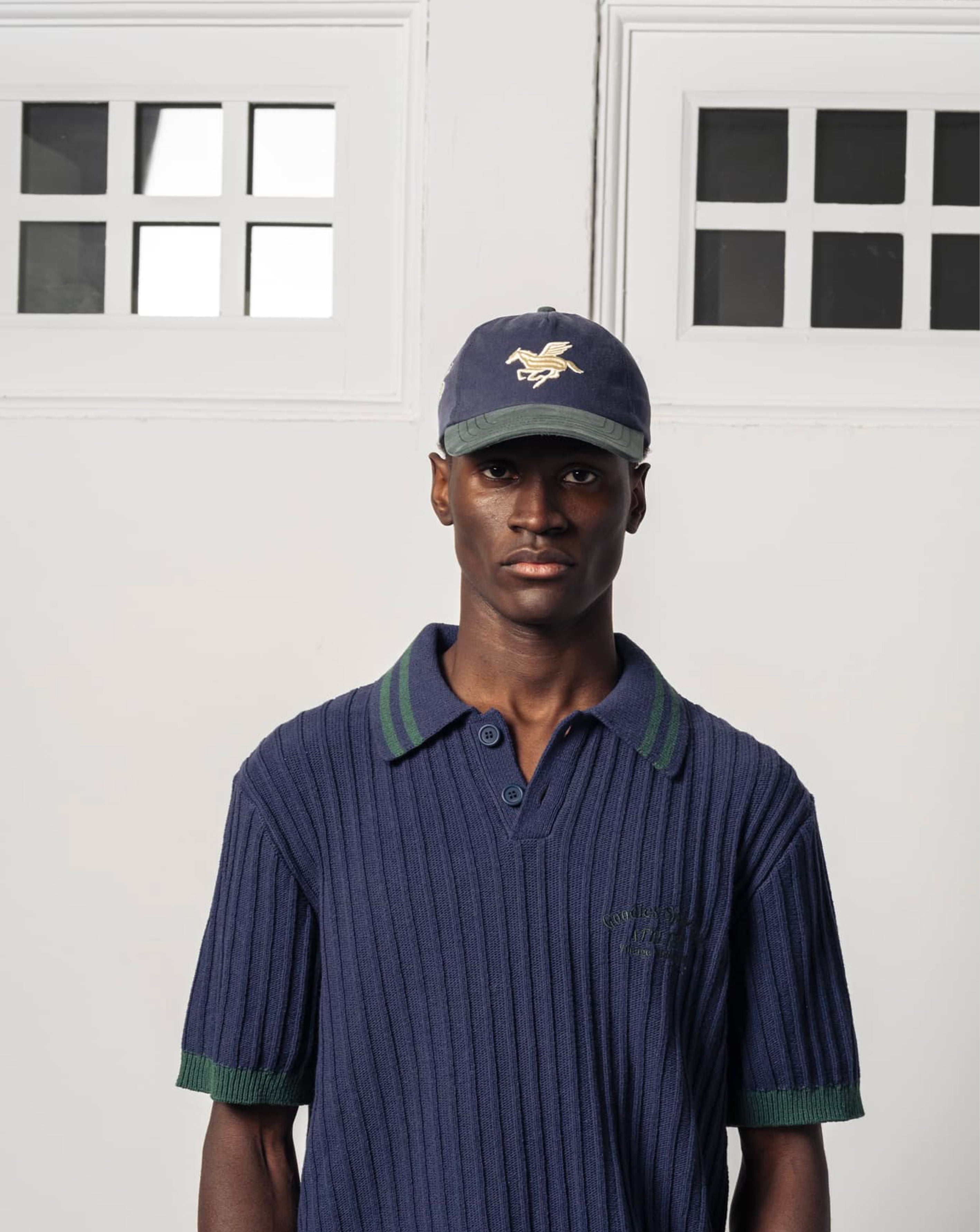 3D peagasus - Washed