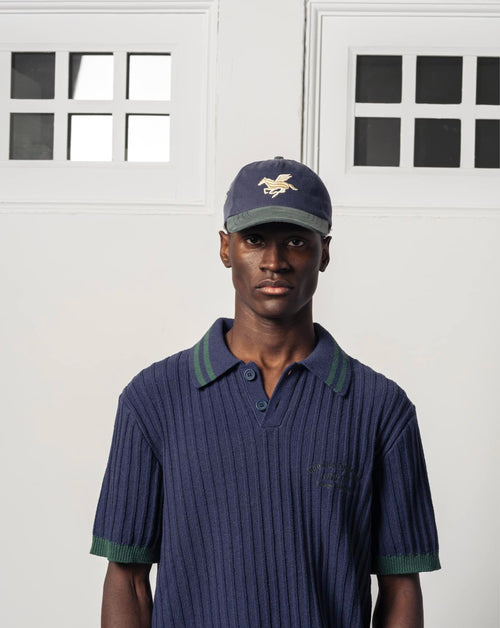 3D peagasus - Washed