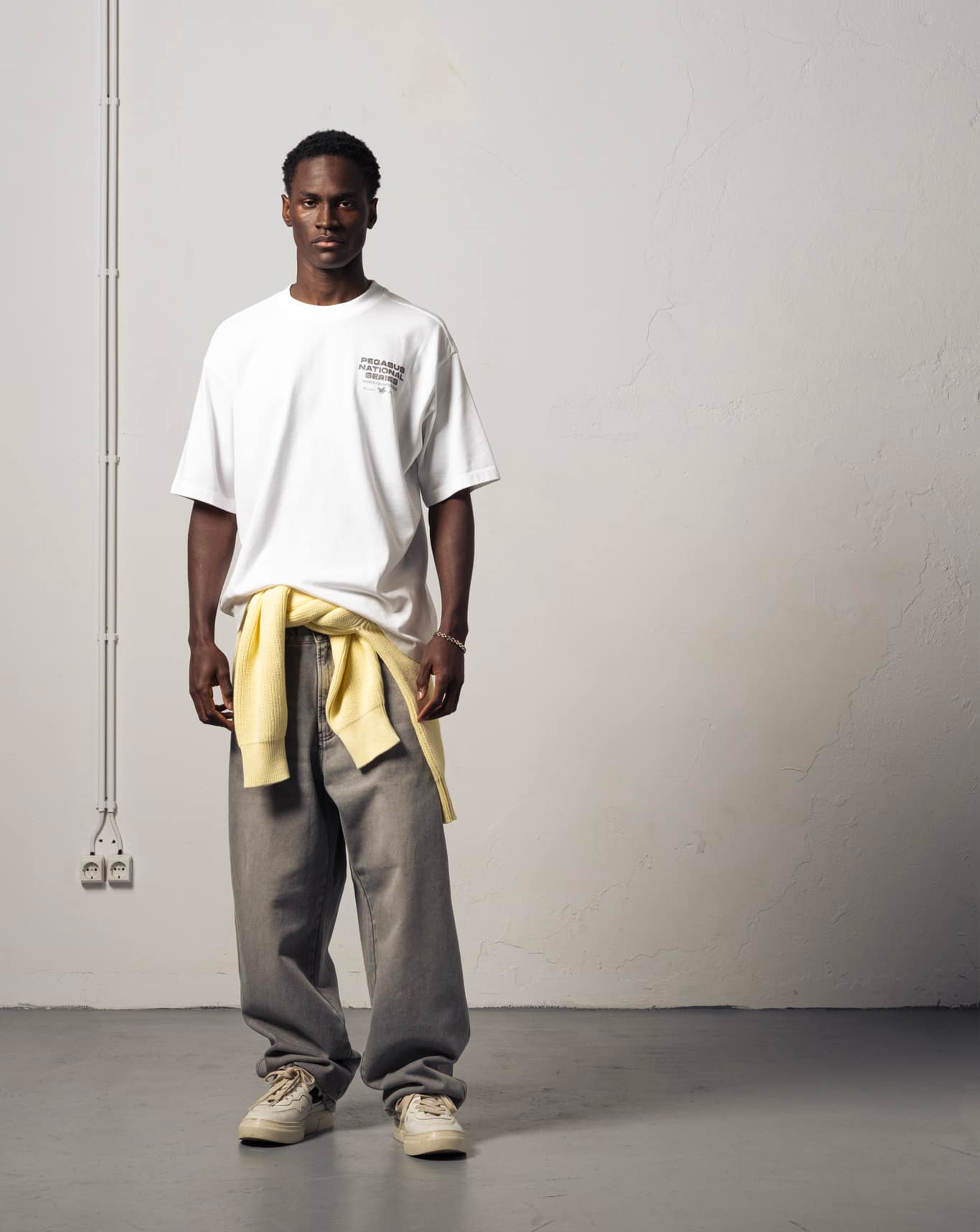 Pegasus Series - White