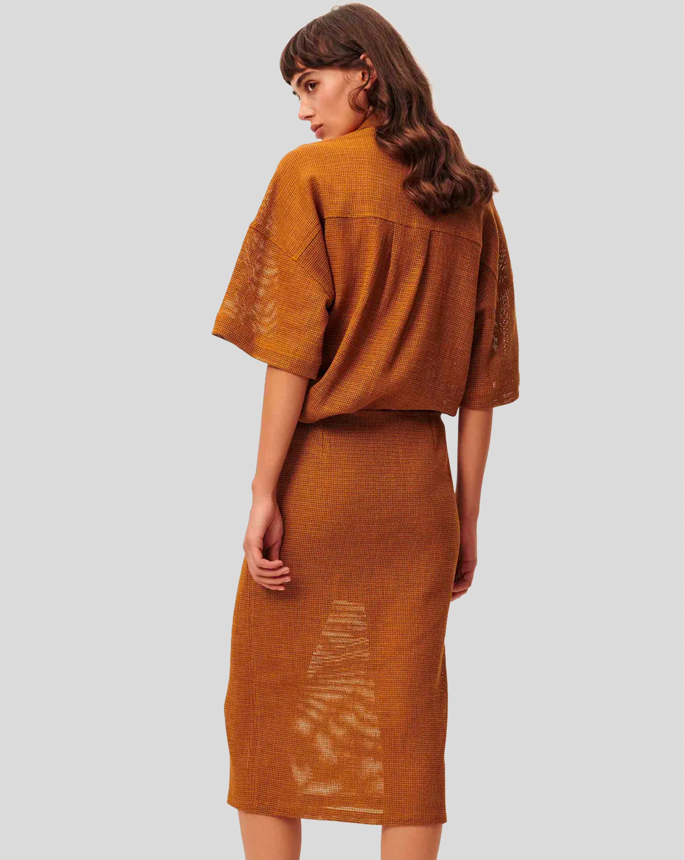 Paulo - Amber Brown