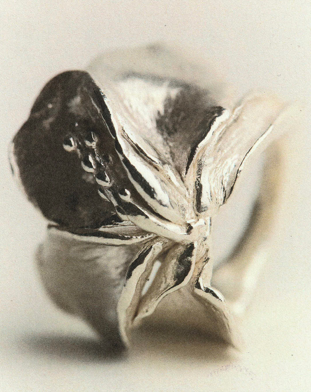Jeannette - Silver