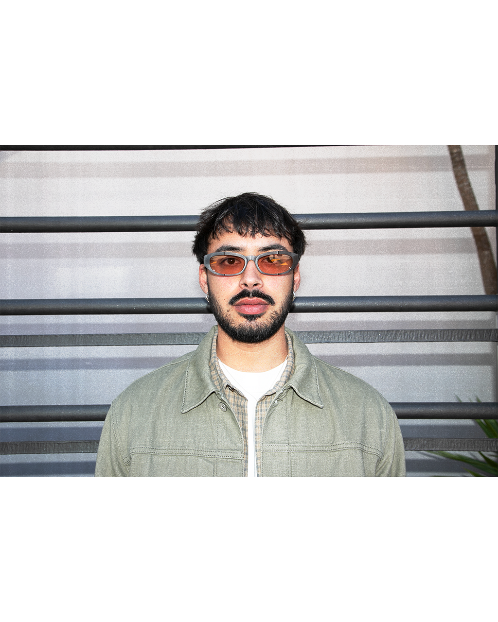 Mateo - Brown